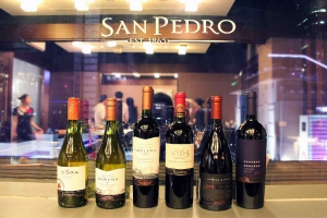 智利 聖派德羅酒廠 活動現場