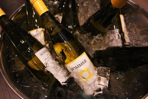 德國 沃洛斯城堡 品酒活動現場