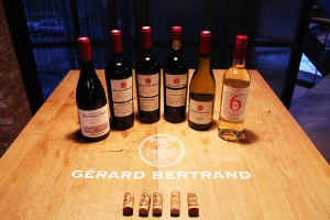 法國 傑哈-貝桐 系列活動現場