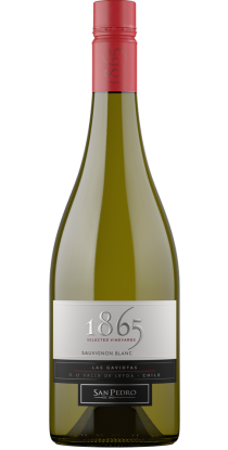 1865精選葡萄園系列  白蘇維翁白葡萄酒