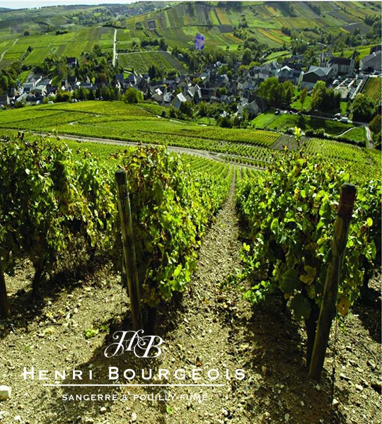亨利布喬亞酒廠 Henri Bourgeois